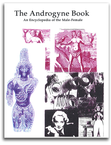 bi-singularity Cover image of 'The Androgyne Book.'