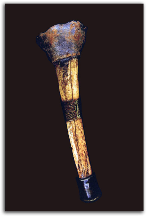 bone_trumpet Image of bone trumpet.
