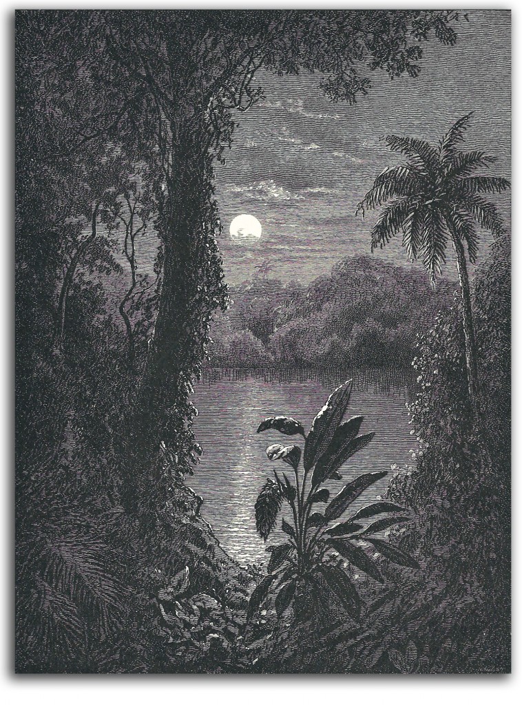 church-tropical_moonlight Image of 'A Tropical Moonlight' by Church.