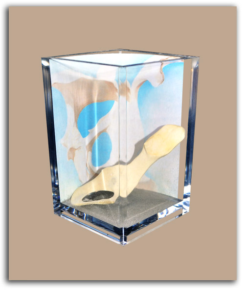 okeeffe2 Image of O'Keeffe objet.