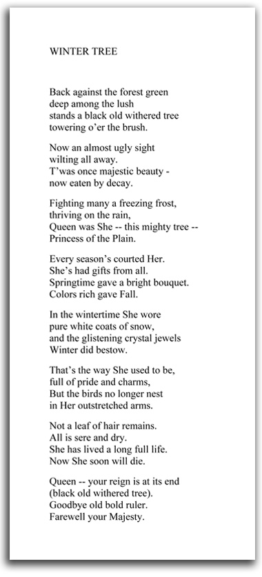 winter_tree Image of 'Winter Tree' text.